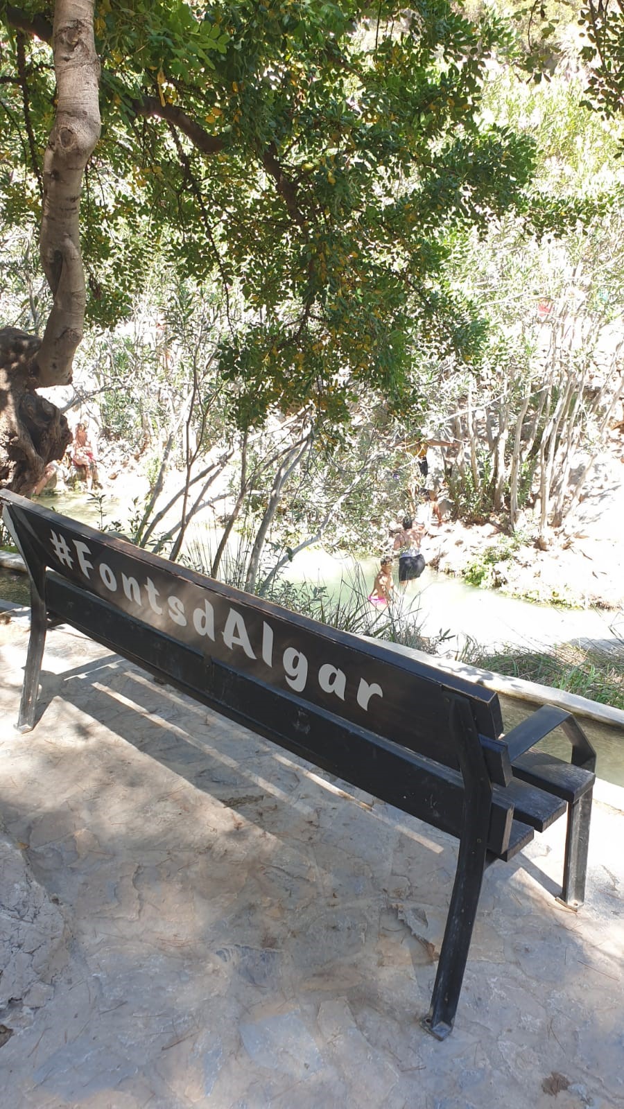 Vista de un banco dentro del paraje de las Fuentes del Algar