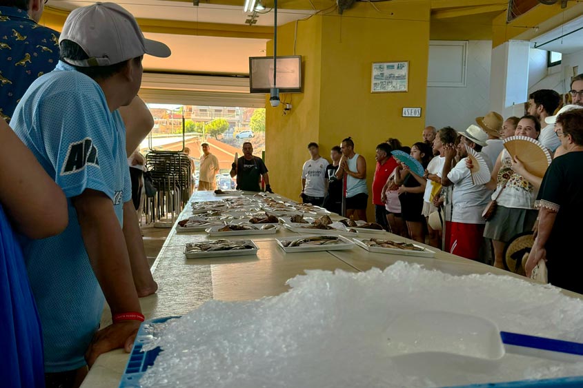 La lonja de El Campello puede ser un lugar divertido y educativo para ver con la familia